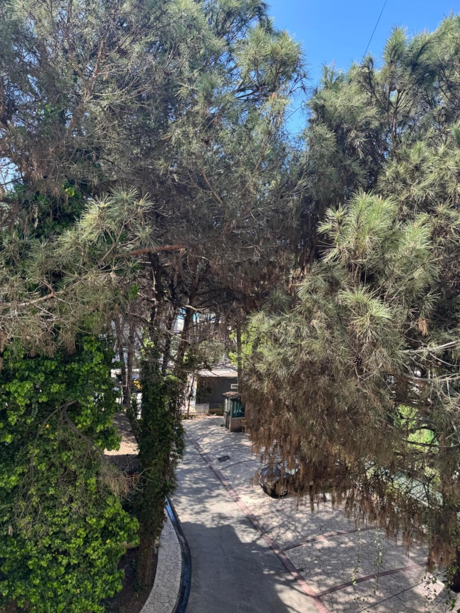 גולם Silent Apartment מראה חיצוני תמונה